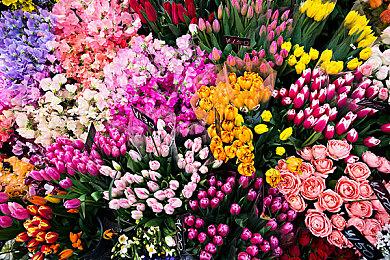 像素类动作肉鸽游戏《数码天堂》现已在Steam平台推出试玩Demo